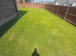 Tarun S.'s Yard Cutting service result