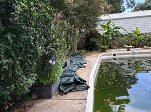 Bush Trimming by Zackery Deshotels for Edward P. in Lafayette, LA
