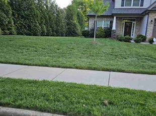 Debra W.'s Lawn Maintenance service result