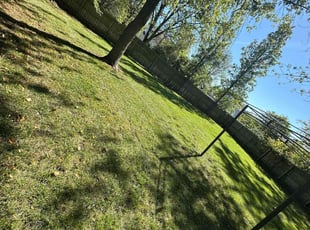 Terrence T.'s Lawn Mowing service result