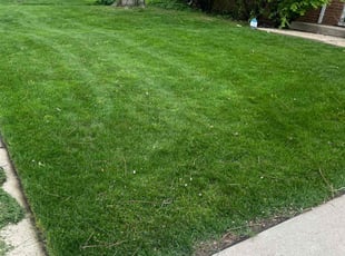 Sharon b.'s Grass Cutting service result