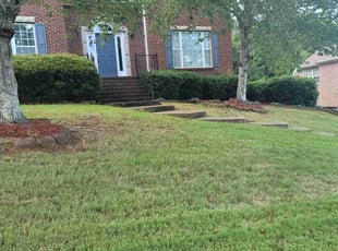 Cynthia P.'s Lawn Care service result
