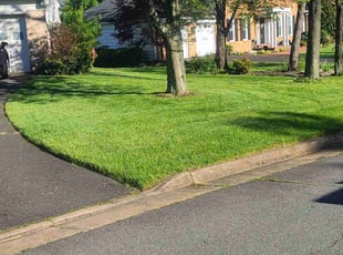 Emmett W.'s Lawn Mowing Service service result