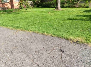 Vivienne S.'s Lawn Maintenance service result