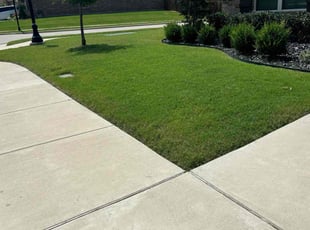 Jami N.'s Lawn Service service result