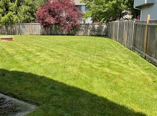 Brian G.'s Lawn Service service result