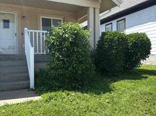 Bush Trimming by William Sidzyik for Brea W. in Omaha, NE