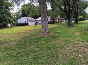 Elizabeth B.'s Lawn Mowing service result