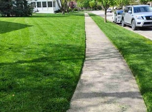 latoria C.'s Lawn Mowing service result