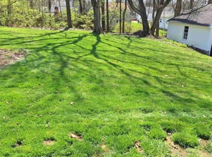 Robert A.'s Lawn Service service result