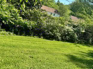 Rajagopalan S.'s Lawn Service service result