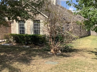Bush Trimming by John Hunt for Jenette A. in San Antonio, TX