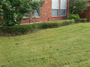 Bush Trimming by Samuel Burleson for Phillip J. in Grand Prairie, TX