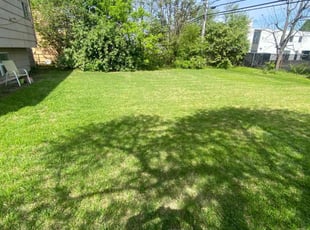 Cynthia T.'s Grass Cutting service result