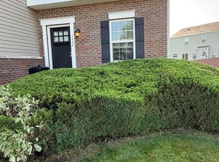 Bush Trimming by Shaun Wojcichowsky for Dakota W. in Marysville, OH