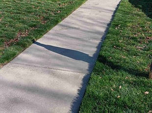 Sheila W.'s Lawn Mowing service result