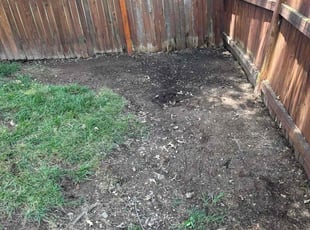 Cleanups by Ana Robles for Michael C. in Bristow, VA