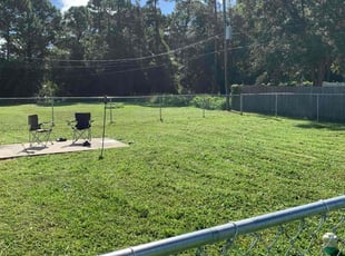 Maria R.'s Lawn Mowing Service service result