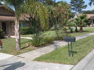 Craig S.'s Lawn Mowing service result