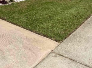 Janice S.'s Lawn Service service result
