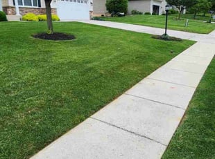 Sharon N.'s Grass Cutting service result