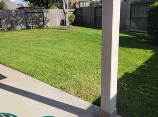 Bailey M.'s Lawn Mowing service result