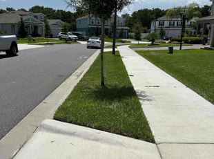 Christopher R.'s Lawn Service service result