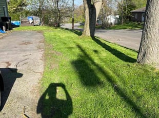 Edna O.'s Lawn Mowing service result