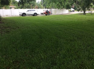 Carlos M.'s Lawn Mowing service result