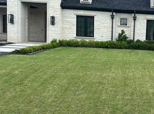 Nyesha M.'s Grass Cutting service result