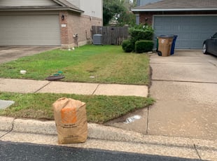Leaf Removal by Mark Medrano for Alex Y. in Austin, TX