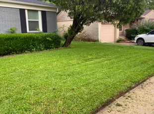 Shawn M.'s Lawn Maintenance service result
