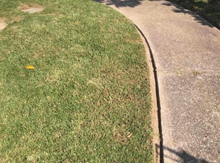 Gloria L.'s Lawn Mowing Service service result