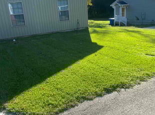 Alexander D.'s Lawn Service service result