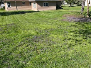 Vickey K.'s Lawn Care service result