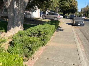 Cleanups by Robert Macias for Latrice C. in Sacramento, CA