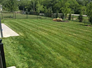 Eric H.'s Lawn Service service result