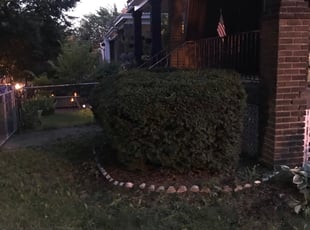 Bush Trimming by Kamonta Hackey for Mrs. Vera B. in Washington, DC