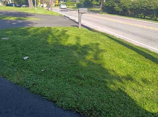 Francesco P.'s Yard Cutting service result