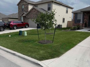 Linda F.'s Lawn Service service result