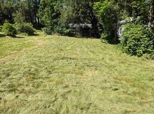 Rup B.'s Lawn Maintenance service result