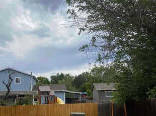 Weeding by Aaron F for Zac G. in Westminster, CO