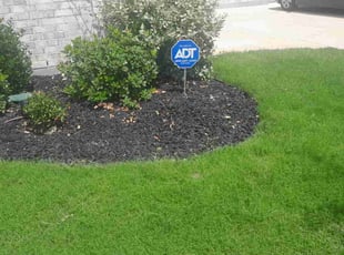 Weeding by Bradley Rearden for Joshua H. in Midlothian, TX
