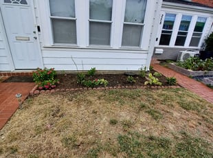 Weeding by Jose Paz for Gregory E. in Washington, DC