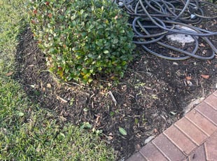 Weeding by Edwin Rios Rosado for Shari T. in DeLand, FL