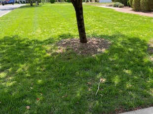 Julie V.'s Lawn Service service result