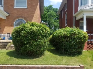 Bush Trimming by DARIUS GINES for Terry H. in St. Louis, MO