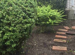 Landscaping by Jovani Da silva for Sebastian S. in Attleboro, MA