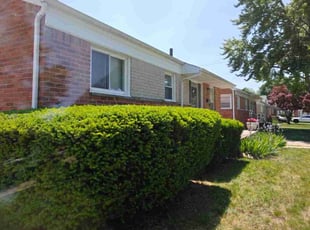 Bush Trimming by Timothy Muir for Ronald R. in Madison Heights, MI