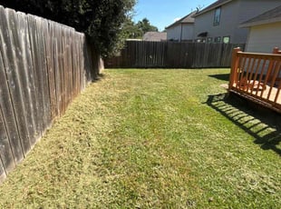 Kathryn C.'s Yard Cutting service result